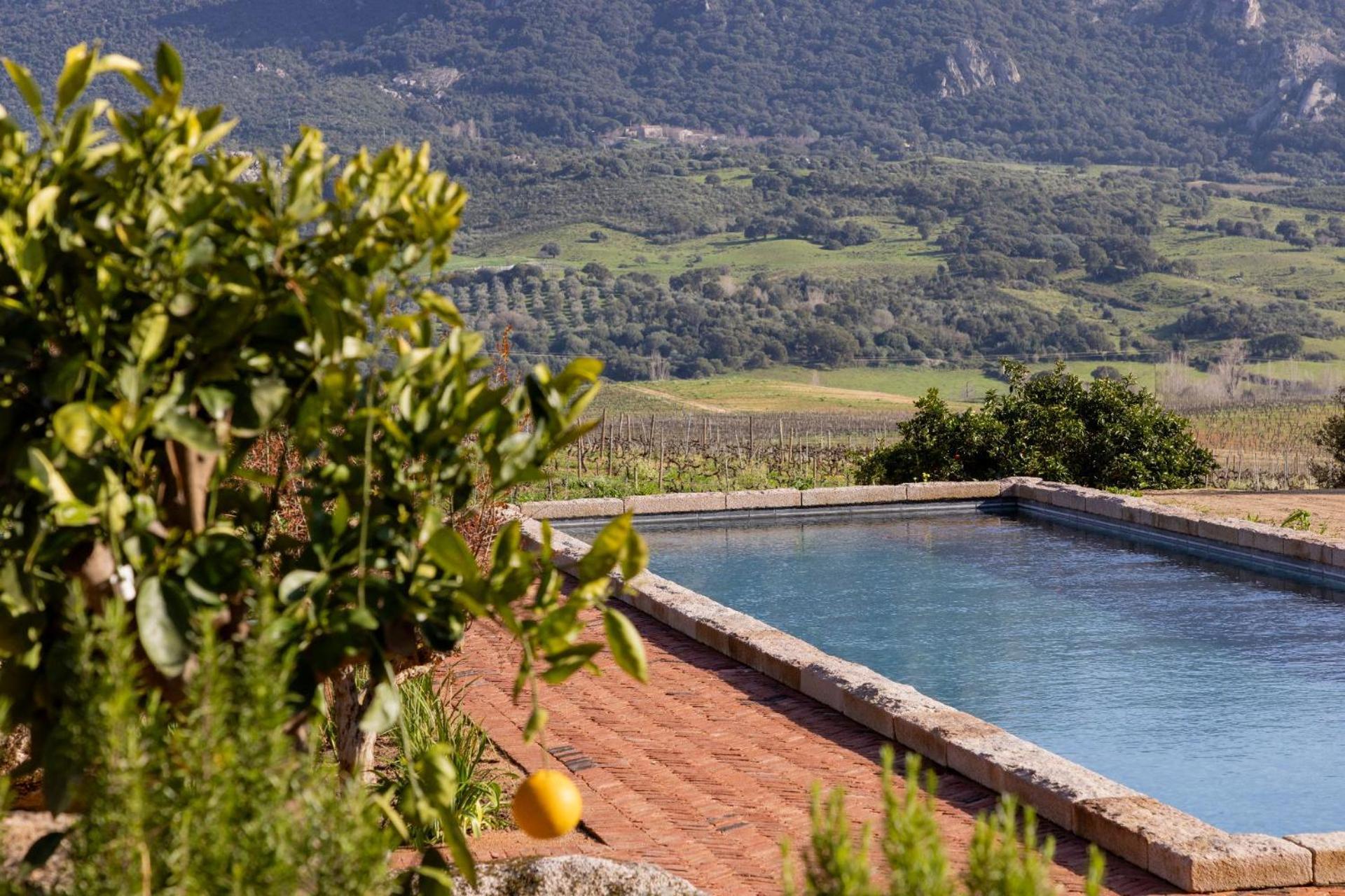 Le Hameau De Saparale Sartène Exterior foto